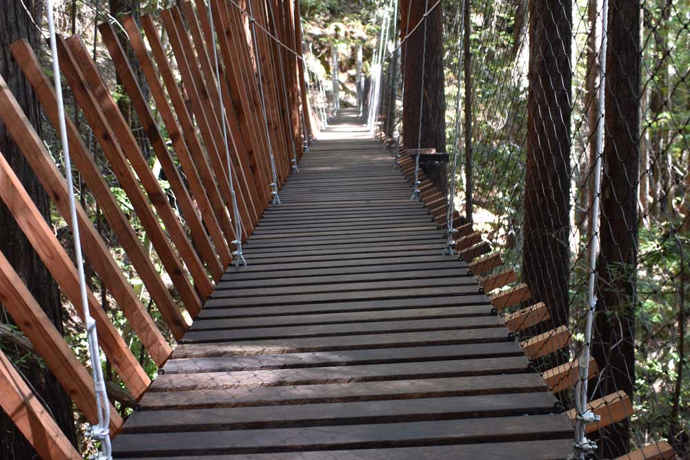 Palm Lumber Bridge